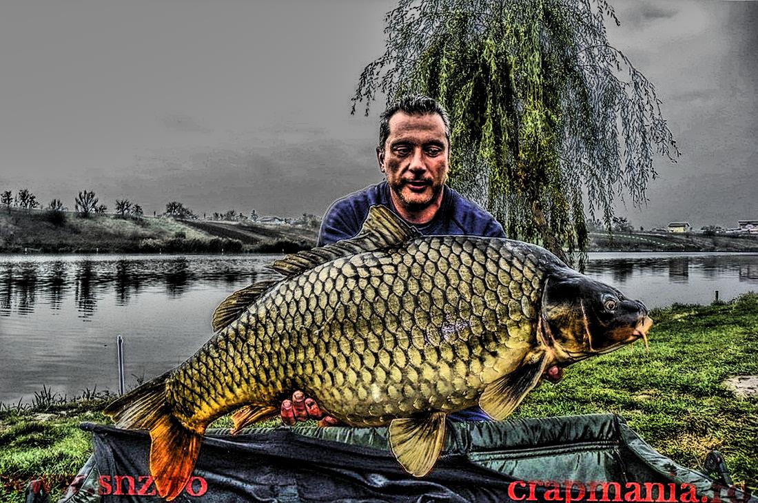 Cupa Iernii 2013 (3) - 1032587hdrmode2.jpg